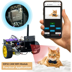 ESP32-CAM WiFi + Bluetooth Geliştirme Kartı
