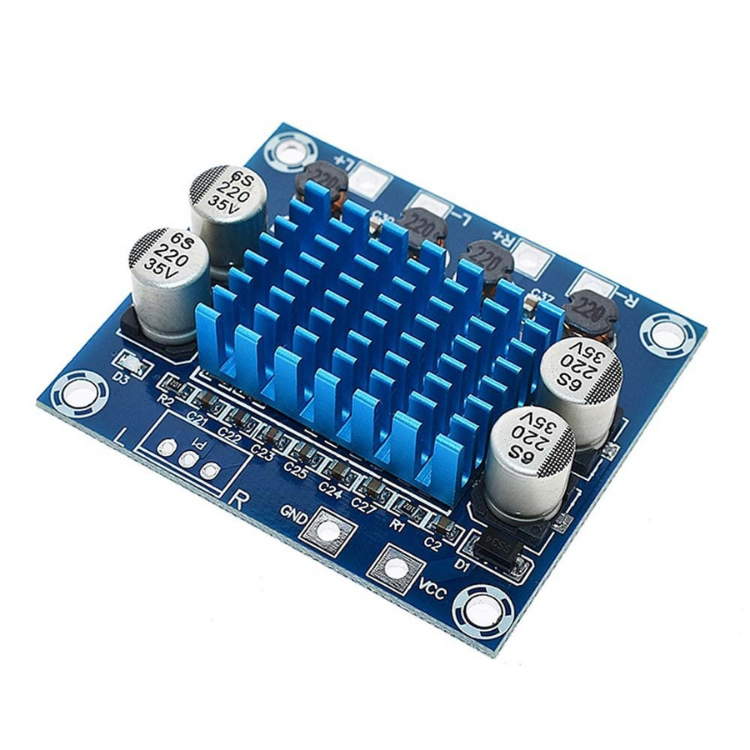 2 Kanal Dijital Amfi Modülü XH-A232